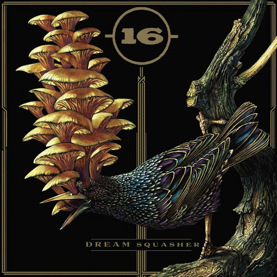16 - Dream Squasher - CD - Relapse Records