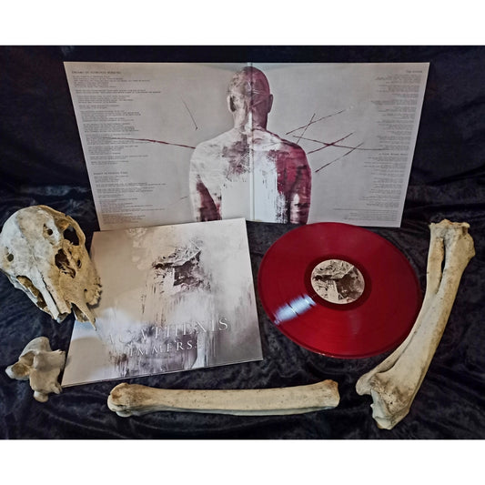 Acathexis - Immerse - LP COLOURED - Extraconscious Records - Image 2