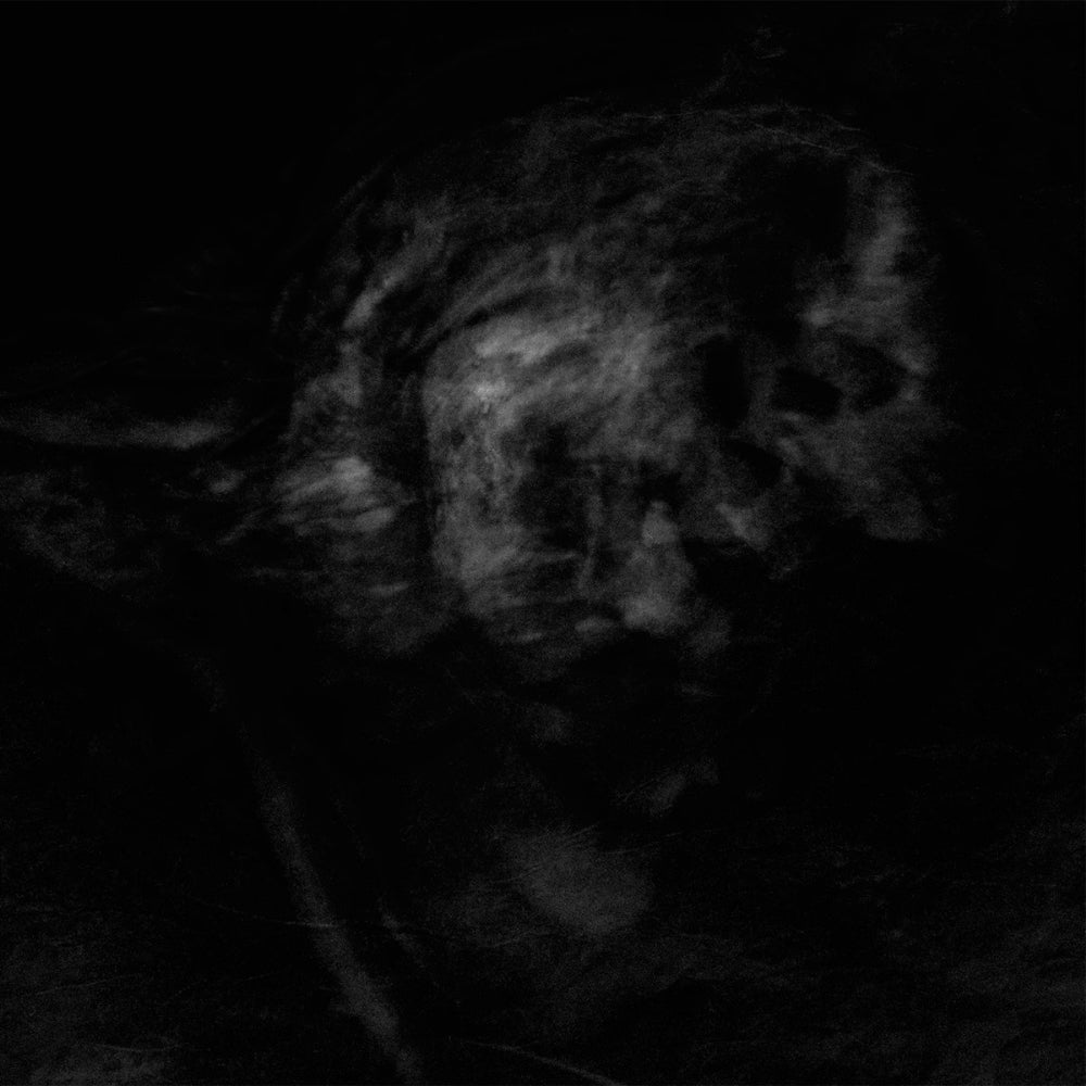 Adaestuo - Tacent Semitae - Mini LP - World Terror Committee