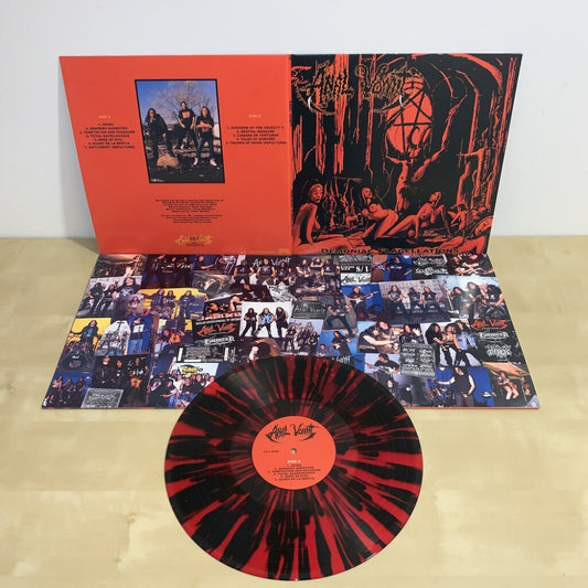 Anal Vomit - Demoniac Flagellations - LP Gatefold Coloured - Osmose Productions - Image 2