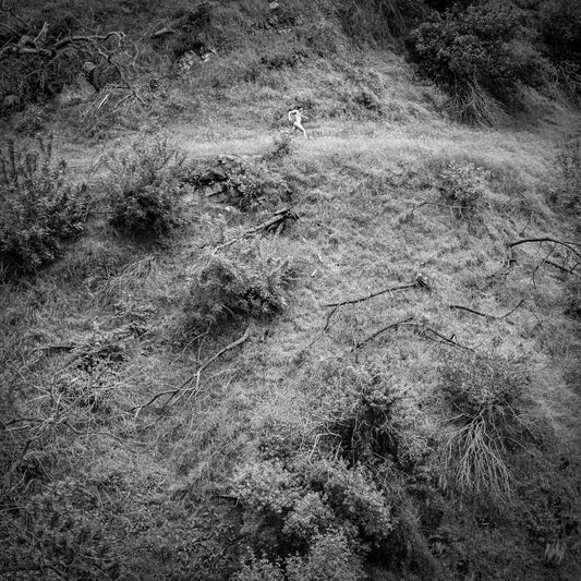 Anna Tivel - Animal Poem - LP - Fluff And Gravy Records - Image 2