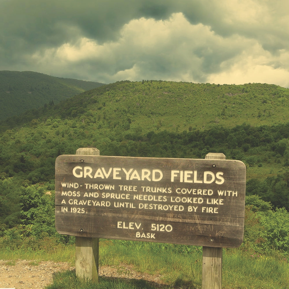 Bask - Graveyard Fields - Mini LP coloured - Self Aware Records - Image 3