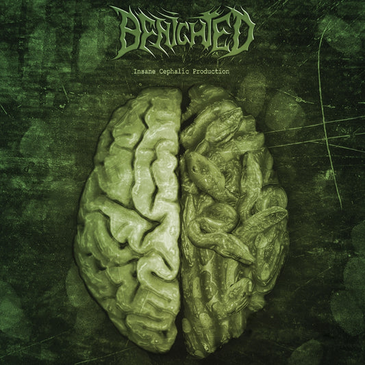 Benighted - Insane Cephalic Production - LP - Supreme Chaos Records - Image 2