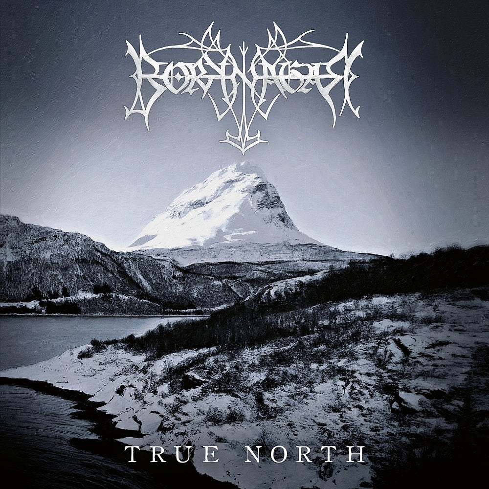 Borknagar - True North - DOUBLE LP GATEFOLD - Season of Mist - Image 3