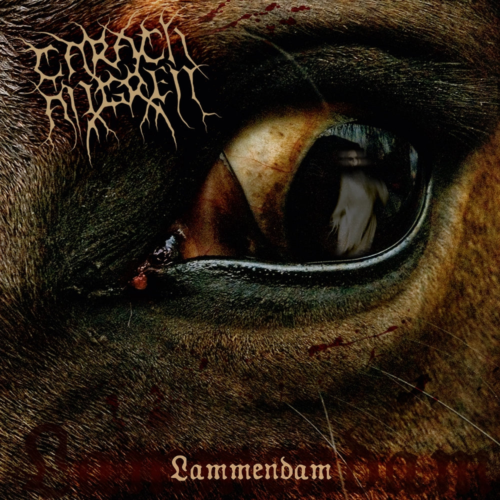 Carach Angren - Lammendam - DOUBLE LP GATEFOLD COLOURED - Season of Mist - Image 2