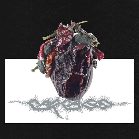 Carcass - Torn Arteries - LP Gatefold Coloured - Church Of Vinyl - Image 2
