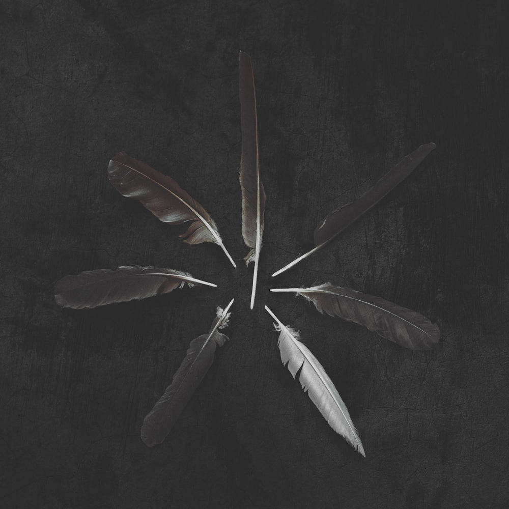 Caspian - Dust And Disquiet - LP COLOURED - Triple Crown Records Inc