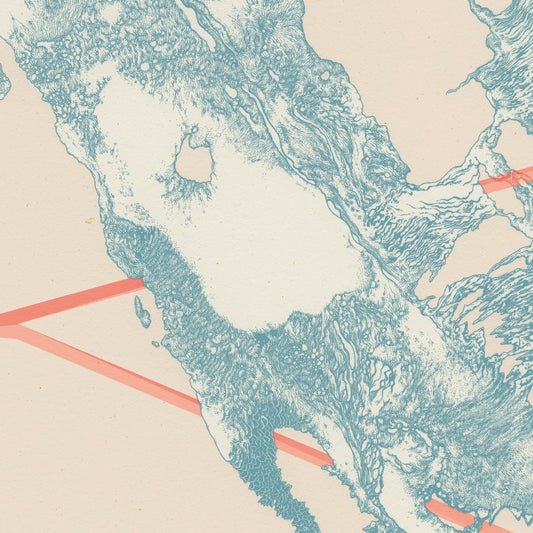 Convulsif - Extinct - LP Gatefold - Hummus Records - Image 2