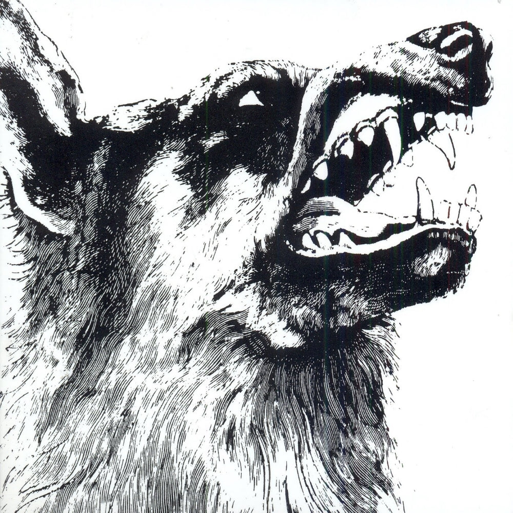 Crippled Black Phoenix - I, Vigilante - LP - Kscope - Image 2