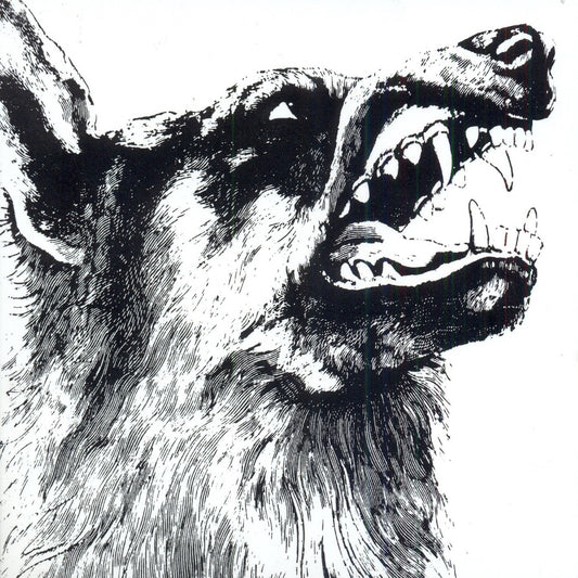 Crippled Black Phoenix - I, Vigilante - LP - Kscope - Image 2