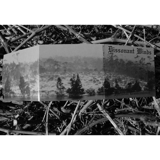 Dissonant Winds - Forestial Transcendence - CD DIGIFILE - Transcendance - Image 2