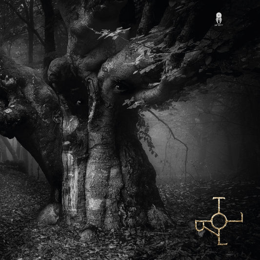 Drott - Troll - LP Gatefold - By Norse Music - Image 2