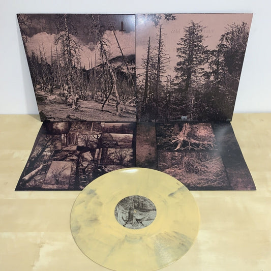 Hate Forest - Sorrow - LP COLOURED - Osmose Productions - Image 2