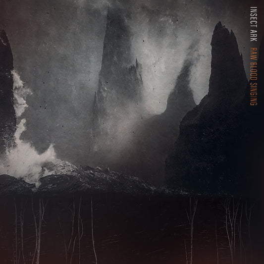 Insect Ark - Raw Blood Singing - LP COLOURED - Debemur Morti - Image 2