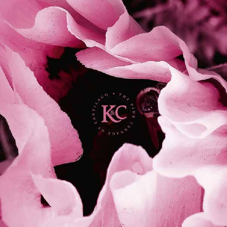 Kolman & Calvert - The Pink Carnage Of Cartilago - CD - Apollon Records