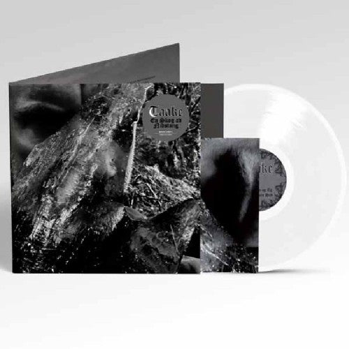 Vinyle blanc