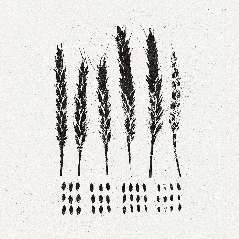 Lo! - The Gleaners - LP - Pelagic - Image 2