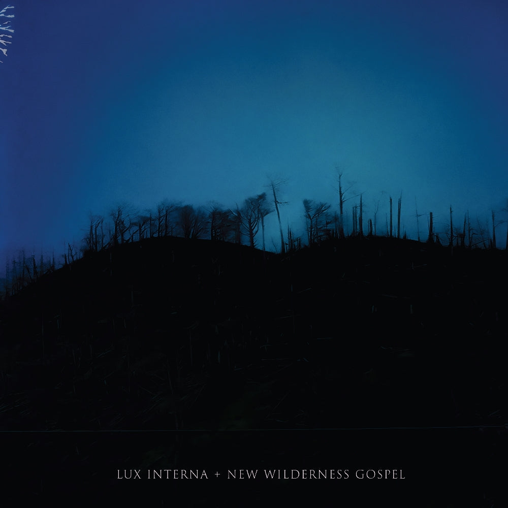 Lux Interna - New Wilderness Gospel - DOUBLE LP GATEFOLD - Auerbach Tonträger - Image 2