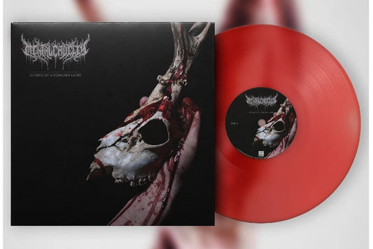 Mental Cruelty - Echoes Of A Forlorn Land - CD/Vinyl - Image 2 -