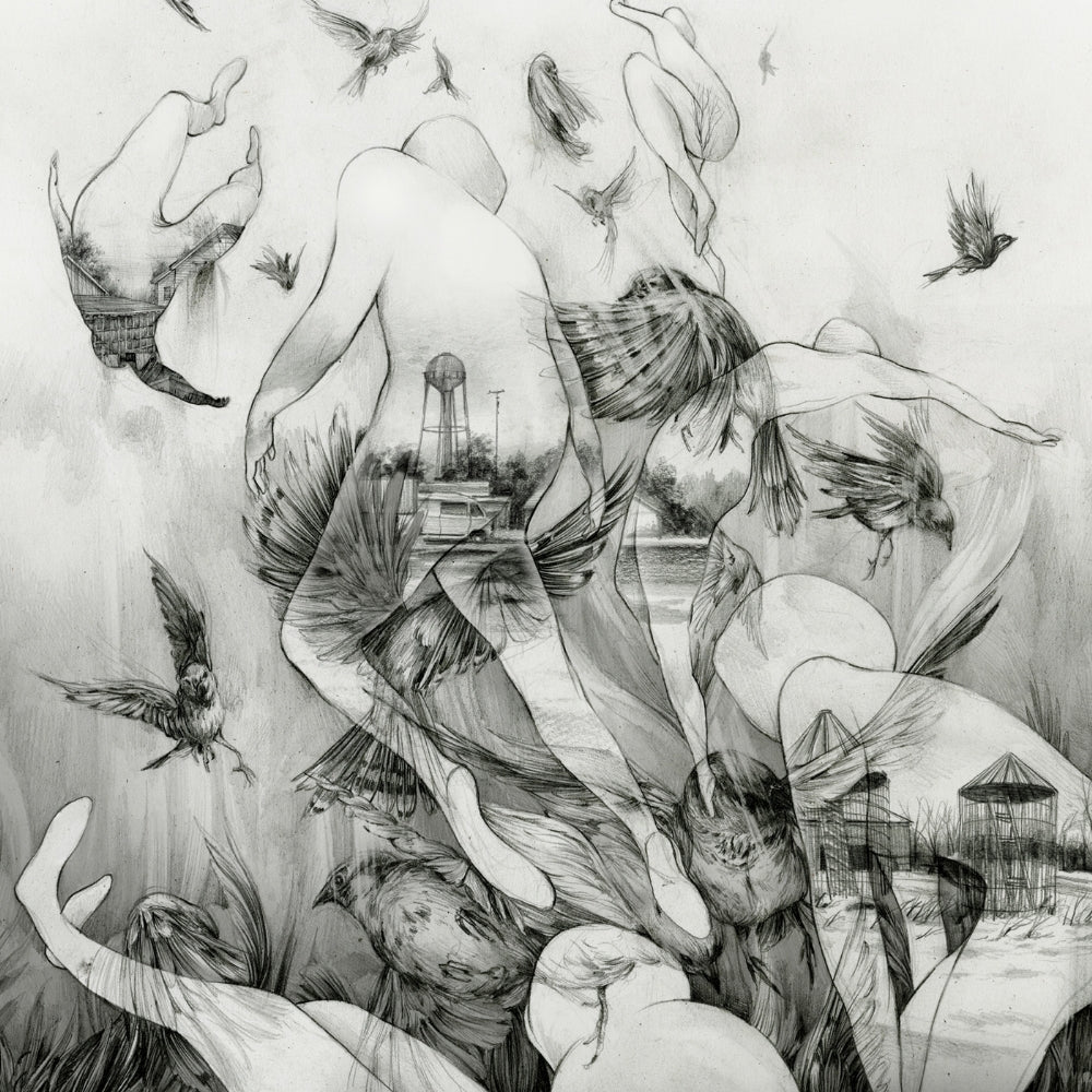 Mono - The Last Dawn - LP - Pelagic - Image 2