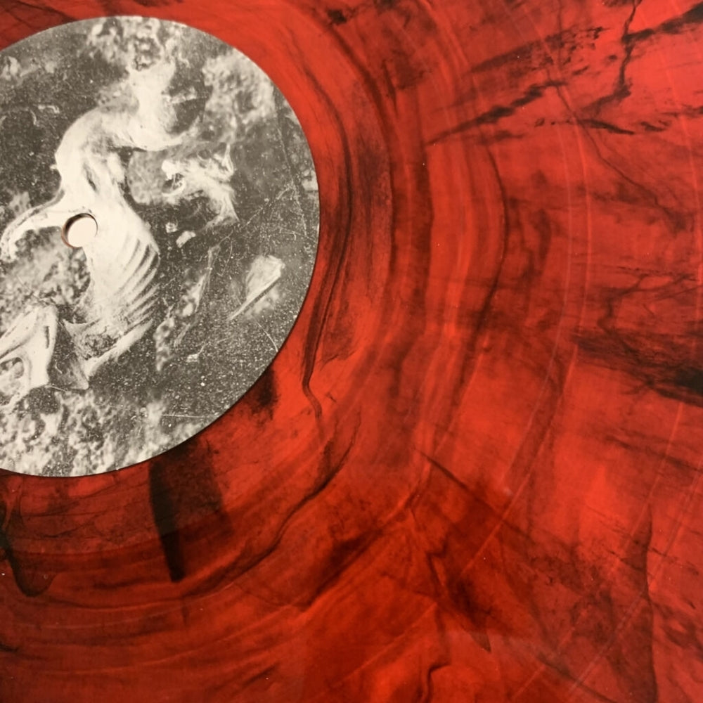 Mutiilation - Black Millenium (Grimly Reborn) - LP Gatefold Coloured - Osmose Productions - Image 3