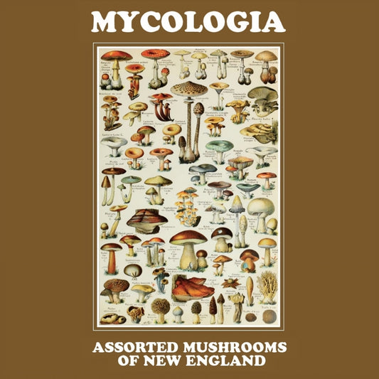 Mycologia - Assorted Mushroons Of New England - LP COLOURED - Out Of Season - Image 2