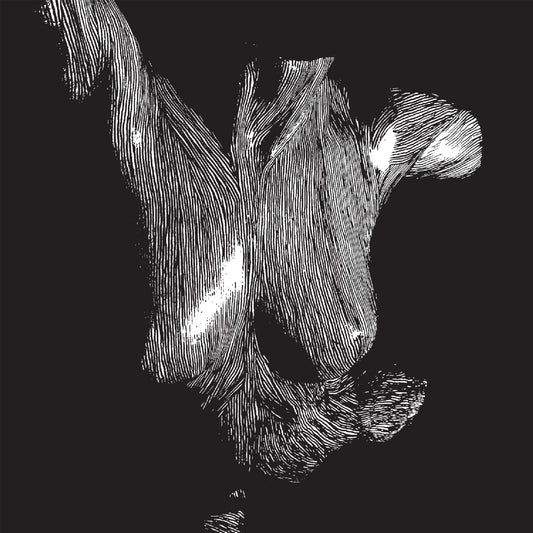 Oceansize - Self-Preserved While The Bodies Float Up - 3LP GATEFOLD - Kscope - Image 2