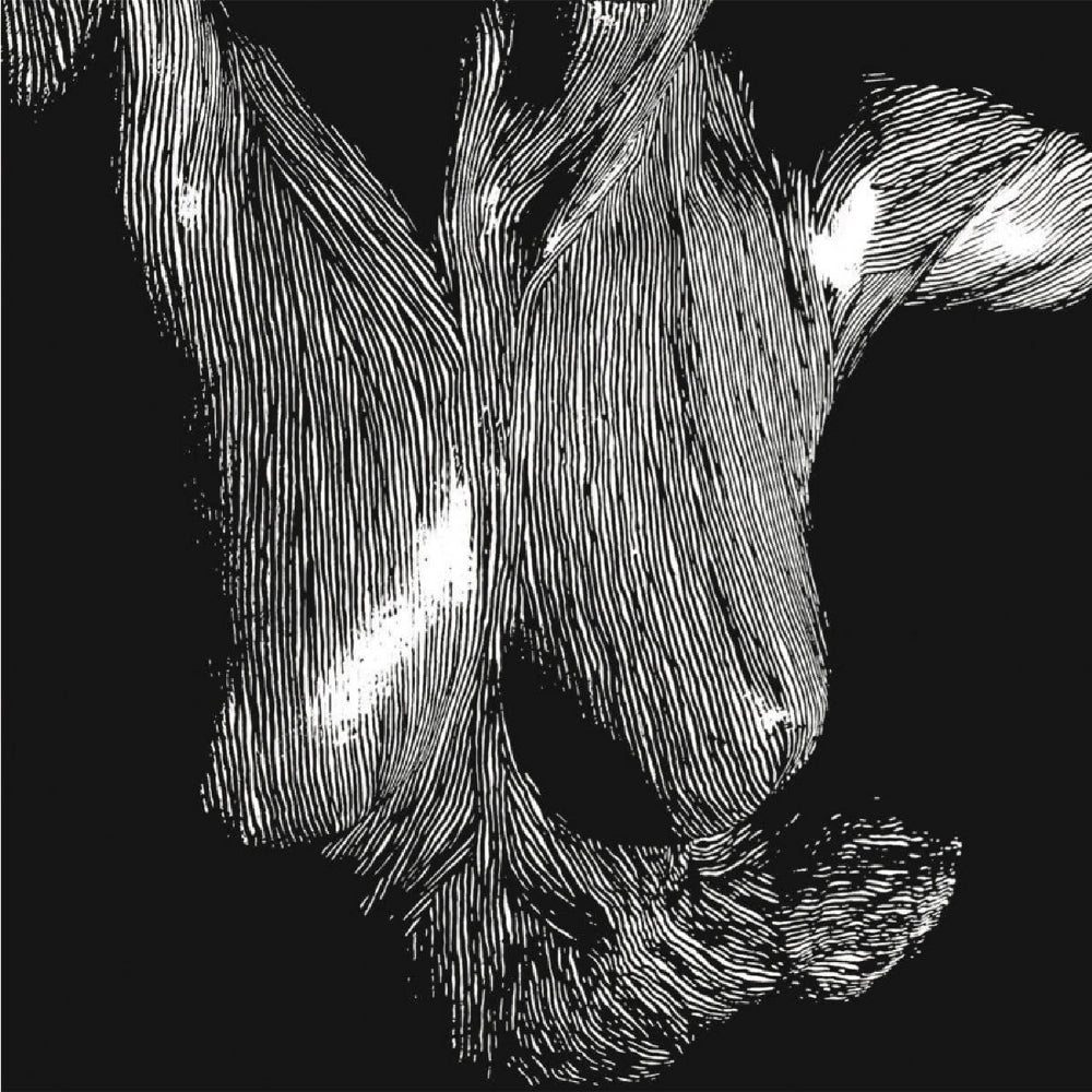 Oceansize - Self Preserved While the Bodies Float Up - 2CD DIGIPAK - Kscope