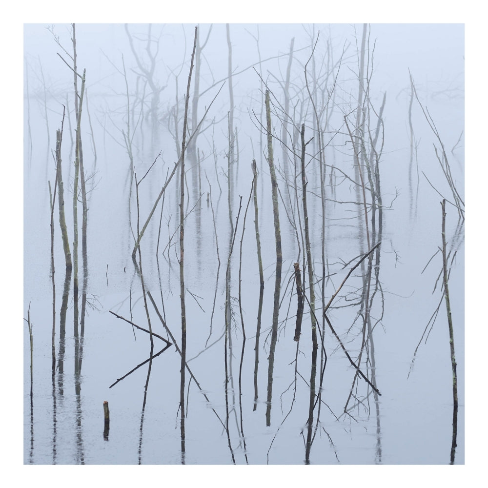 Olhava - Frozen Bloom - CD DIGIPAK - Avantgarde Music