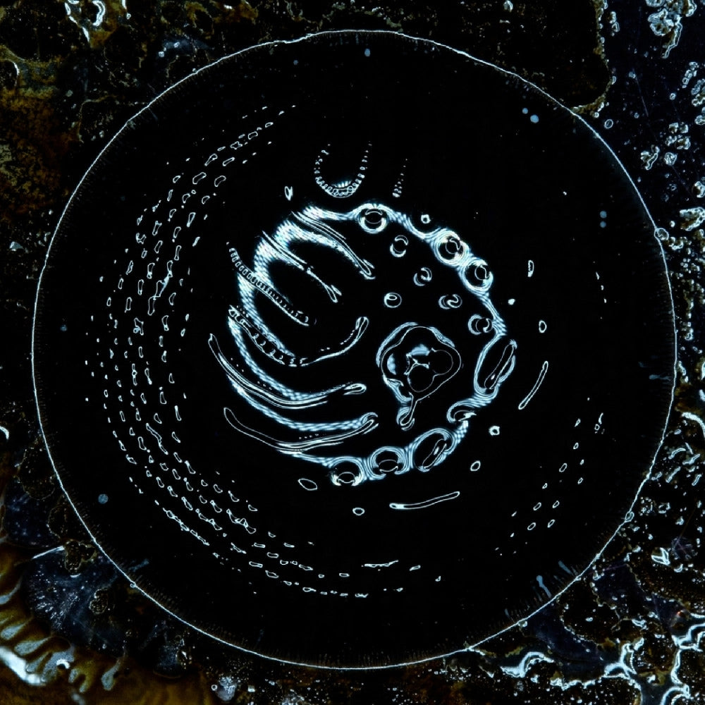 Stonus - Stonus - CD - Ripple Music