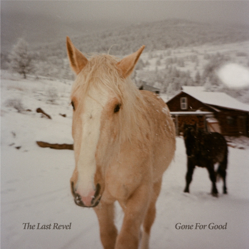 The Last Revel - Gone For Good - LP COLOURED - Hassle House Records - Image 2