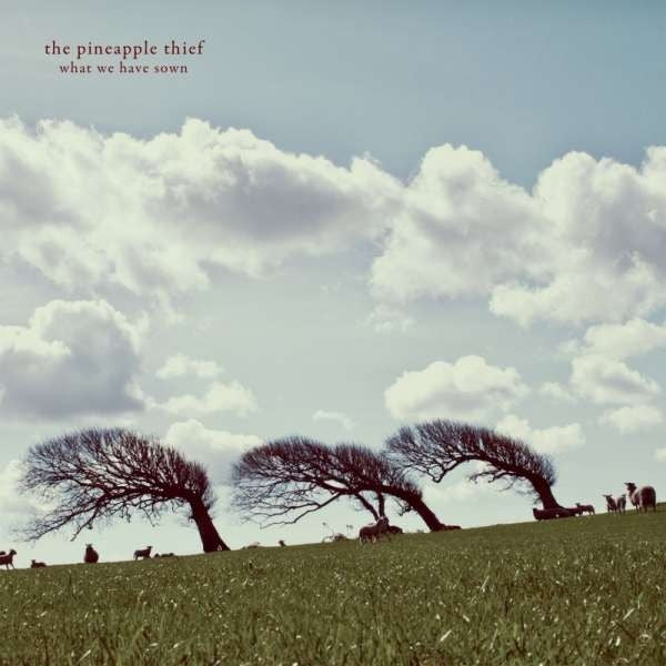 The Pineapple Thief - What We Have Sown - DOUBLE LP GATEFOLD - Kscope - Image 2