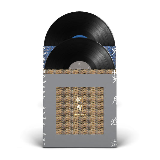 Wang Wen - Sweet Home Go! - DOUBLE LP - Pelagic - Image 2