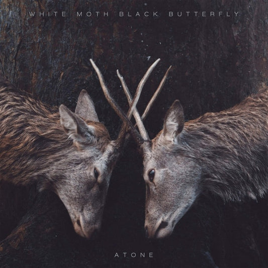 White Moth Black Butterfly - Atone - LP - Kscope - Image 2