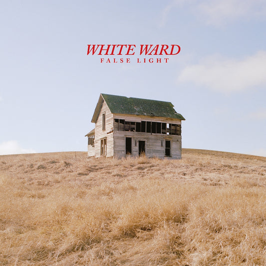 White Ward - False Light - DOUBLE LP GATEFOLD COLOURED - Debemur Morti - Image 2