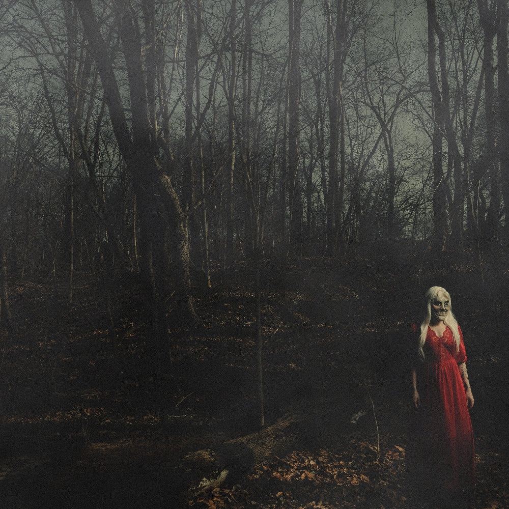 156/Silence - From A Distance - LP - Pure Noise Records