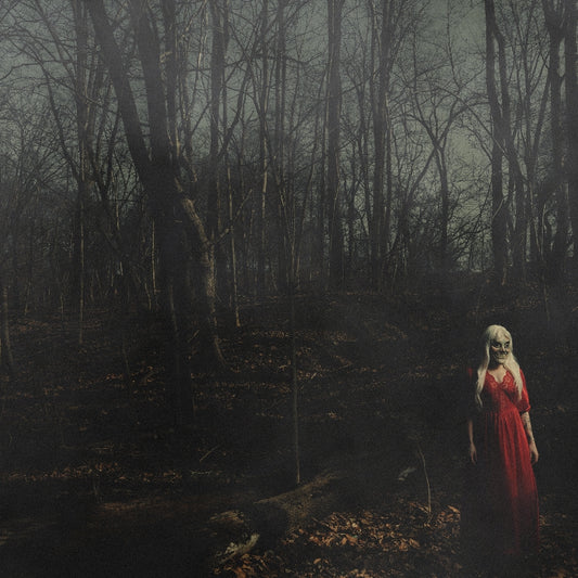 156/Silence - From A Distance - LP - Pure Noise Records