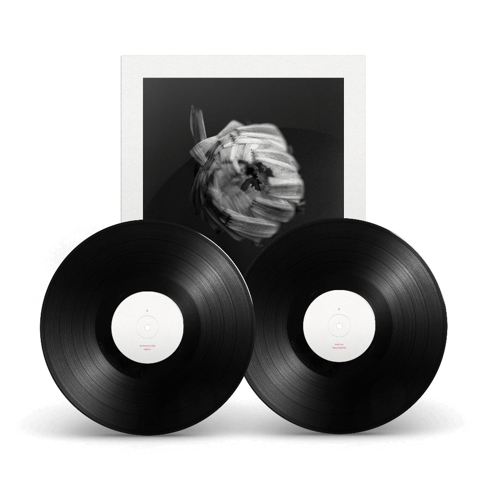 A Swarm Of The Sun - An Empire - DOUBLE LP GATEFOLD - Pelagic