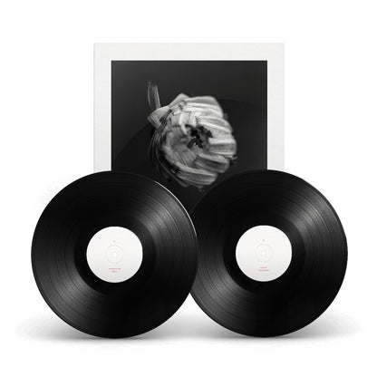 A Swarm Of The Sun - An Empire - DOUBLE LP GATEFOLD - Pelagic