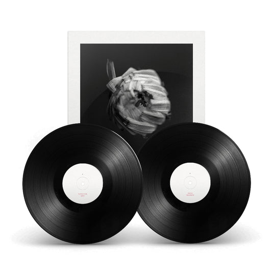 A Swarm Of The Sun - An Empire - DOUBLE LP GATEFOLD - Pelagic