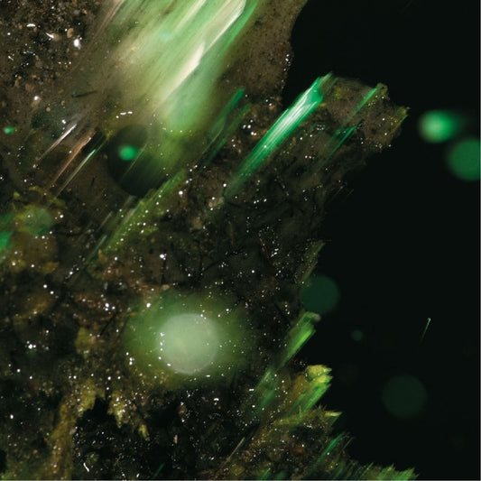Abraham - Idsungwüssä - CD DIGISLEEVE - Pelagic