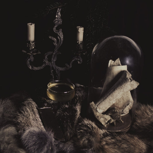 Acacia's Temple - Elegiac Pilgrimage - LP - Vendetta Records - Image 2