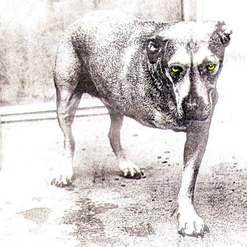 Alice In Chains - Alice In Chains - CD - Columbia