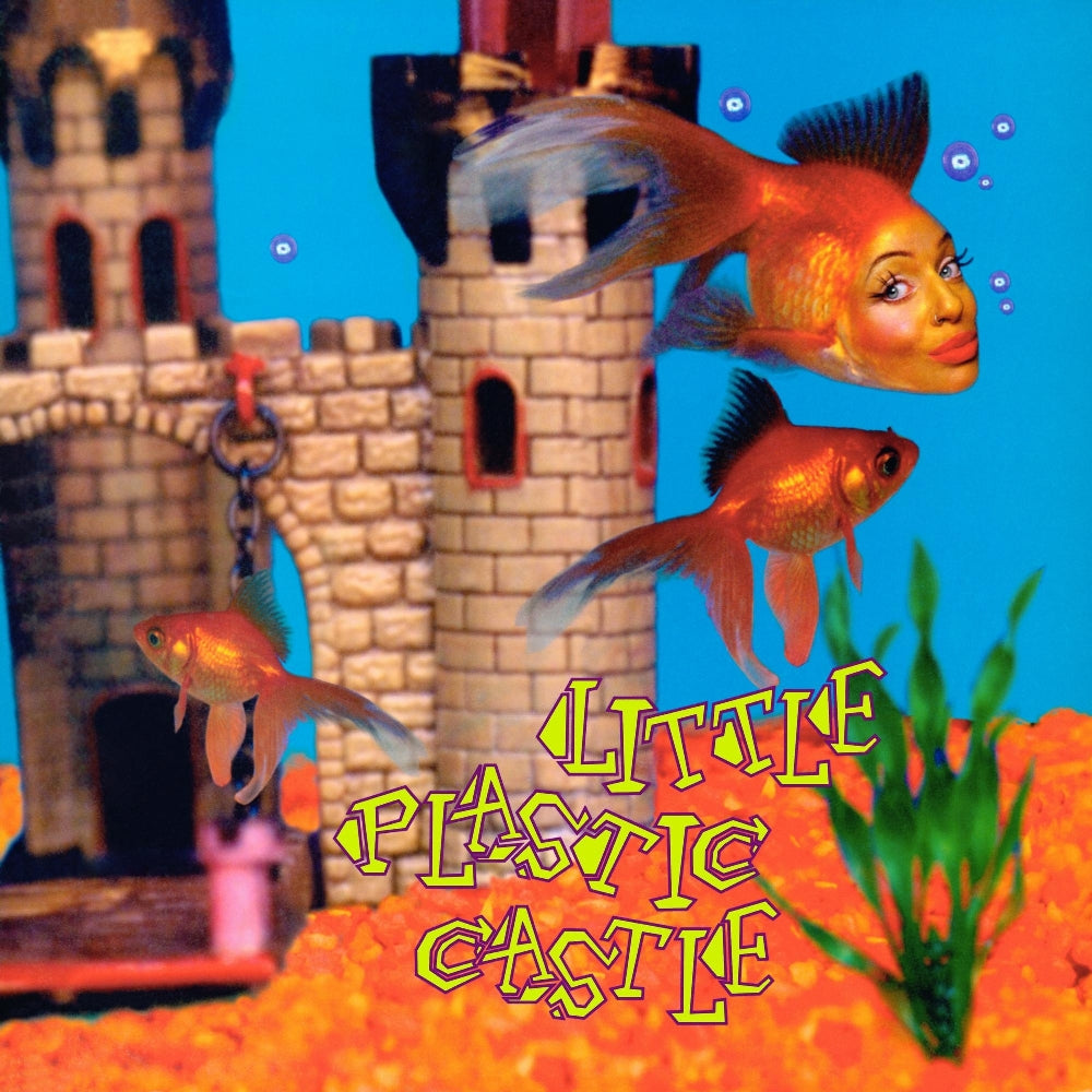 Ani DiFranco - Little Plastic Castle (25th Anniversary Edition) - CD DIGISLEEVE - Righteous Babe Records