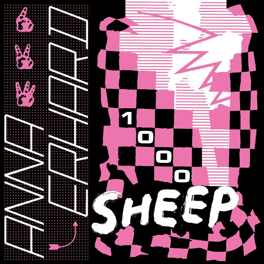 Anna Erhard - 1000 Sheep - CD/Vinyl - Image 1 - 