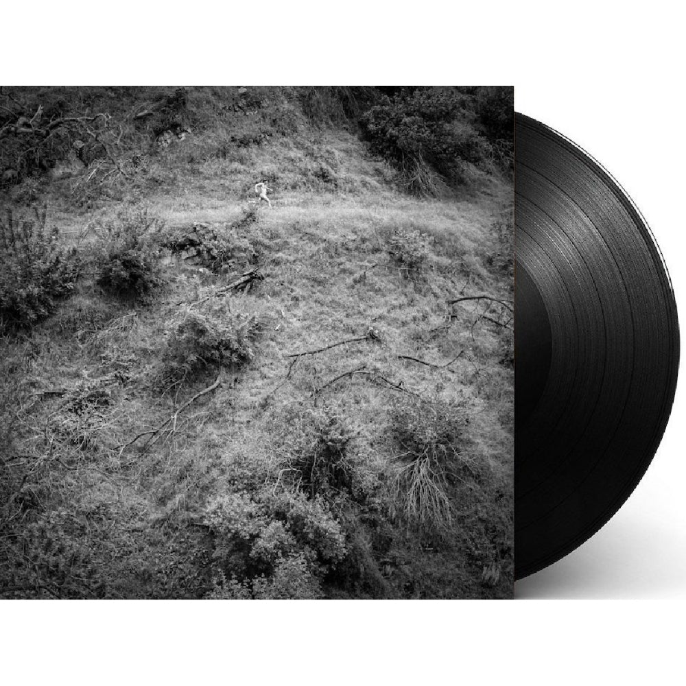 Anna Tivel - Animal Poem - LP - Fluff And Gravy Records