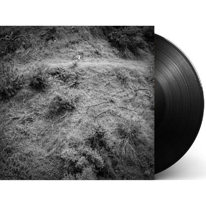 Anna Tivel - Animal Poem - LP - Fluff And Gravy Records