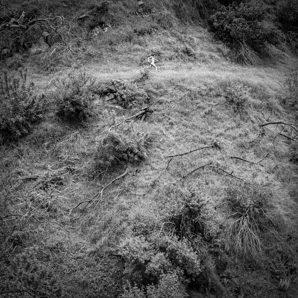 Anna Tivel - Animal Poem - LP - Fluff And Gravy Records - Image 2