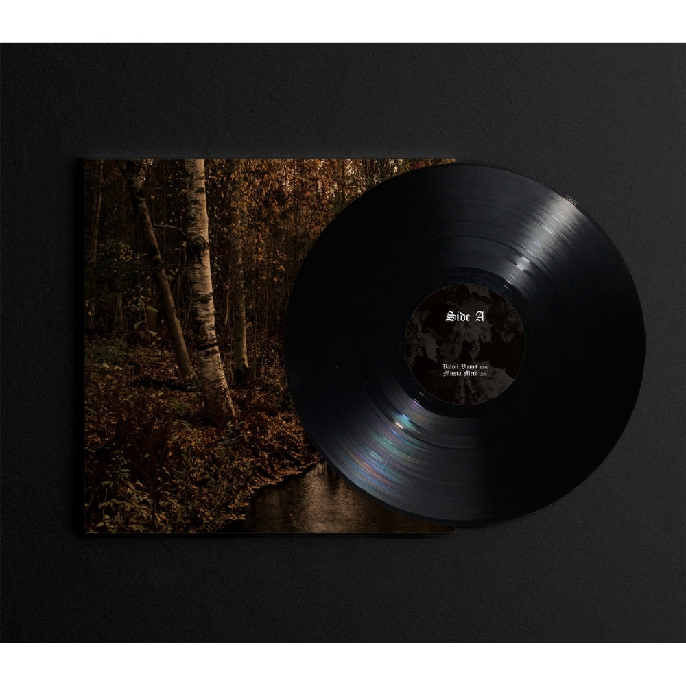 Aran - Pimeytta Vasten - LP - Naturmacht Productions