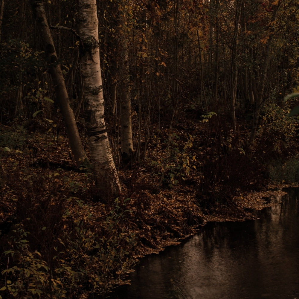 Aran - Pimeytta Vasten - LP - Naturmacht Productions - Image 2
